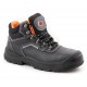 BEARFIELD TRZEWIK R02 S1 SRC