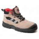 BEARFIELD TRZEWIK R01 S1 SRC