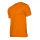 KOSZULKI T-SHIRT 