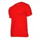 KOSZULKI T-SHIRT 
